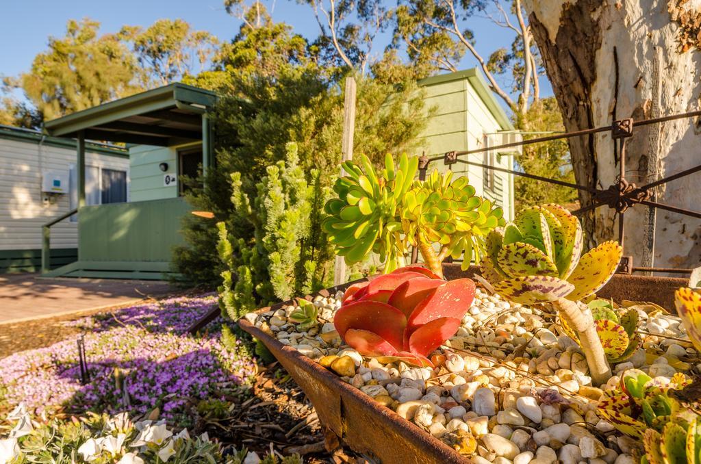 Hotel Lake Albert Caravan Park à Meningie Extérieur photo